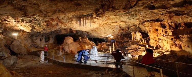 Adventure Trip in Transylvania 