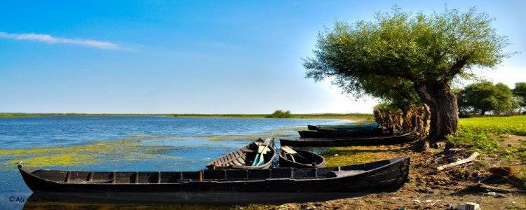 Danube Delta